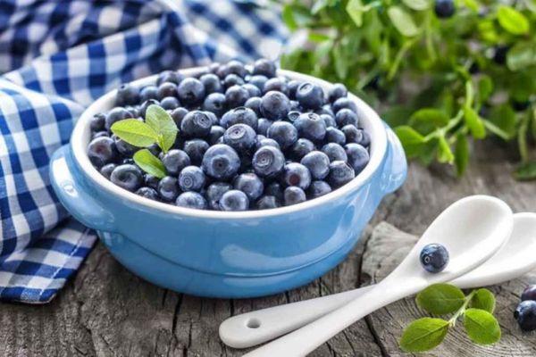 frische Blaubeeren