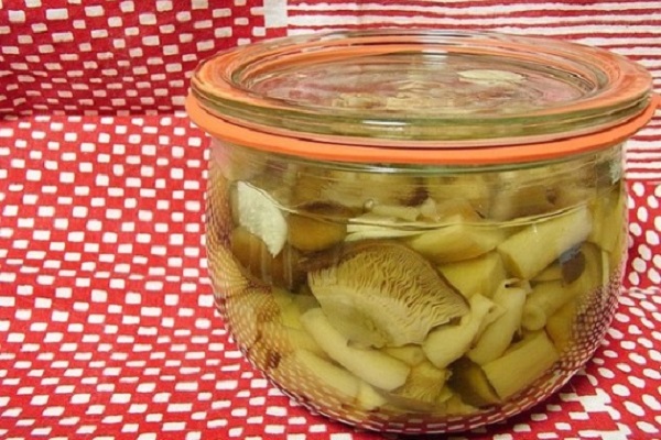 Volzhanka in jars