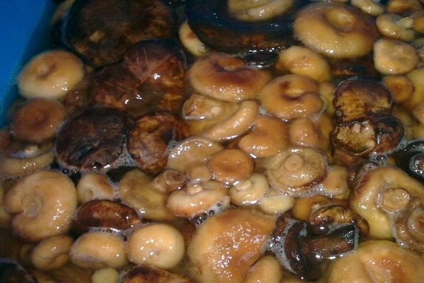 pickled mushrooms