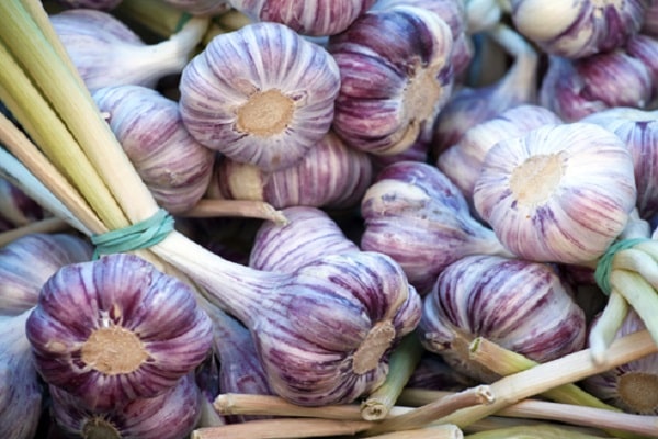 drying in a bundle