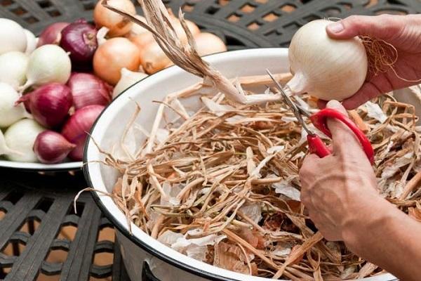 4 nejlepší způsoby, jak správně sušit cibuli doma na zimu