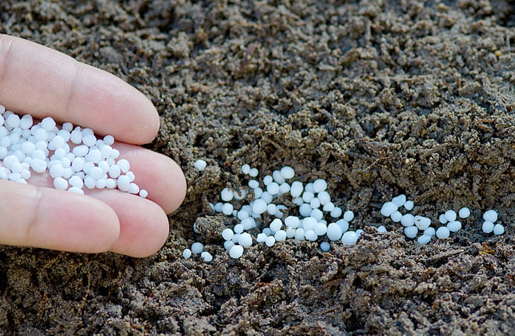 fertilizers in the soil