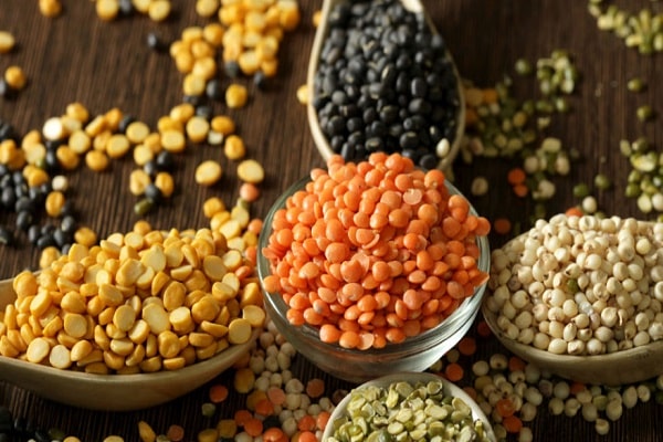 types of lentils