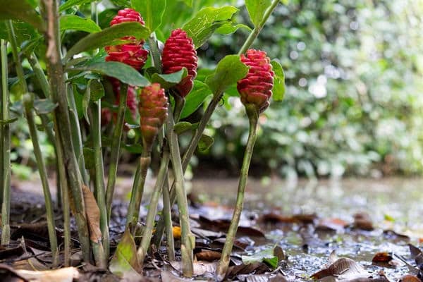 sự hình thành tích cực