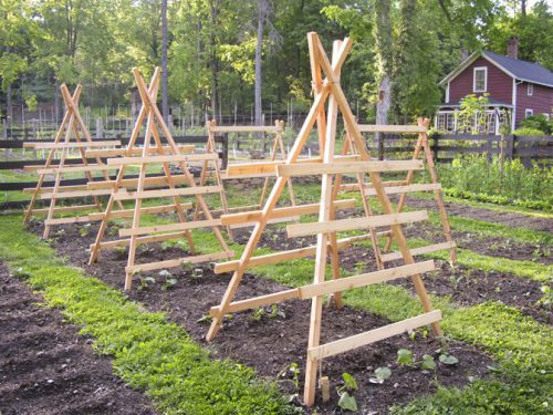 houten latwerk voor komkommers