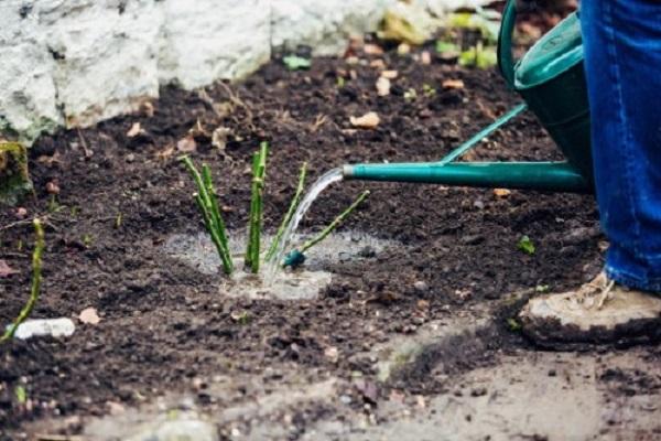 water geven uit een gieter 