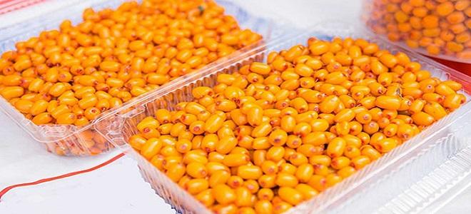 how to store sea buckthorn