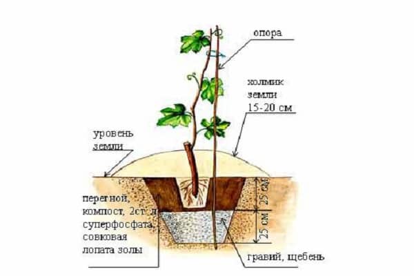 schemat lądowania 