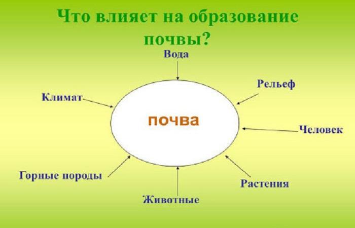 soil table