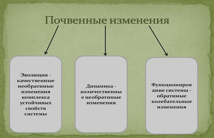 soil evolution 