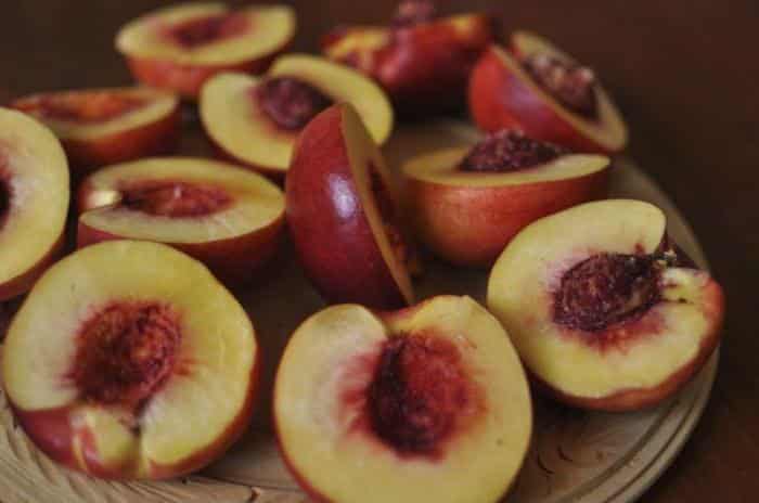 fruit de nectarine