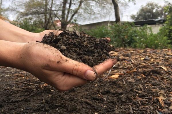 fertilizing the soil 