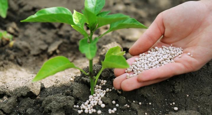 fertilizante para piensos 