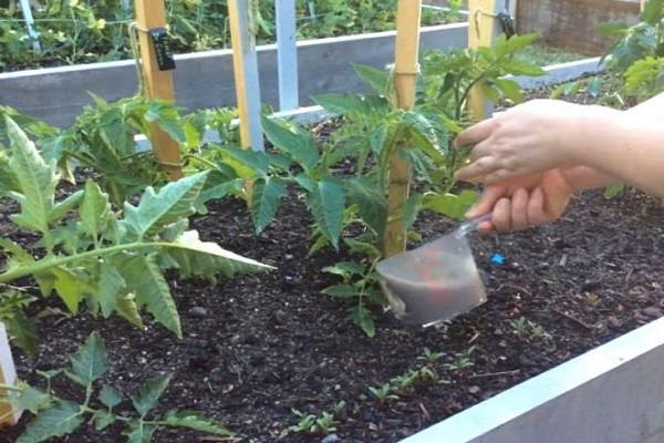 tomatoes and cucumbers