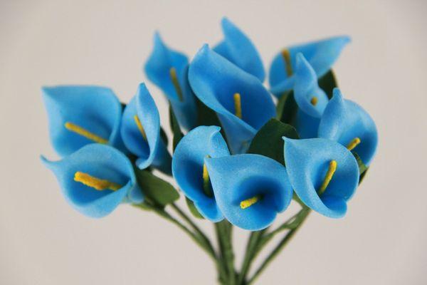 Callas Blauw