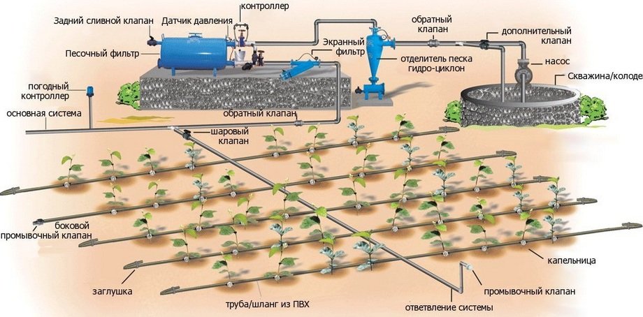 drip irrigation