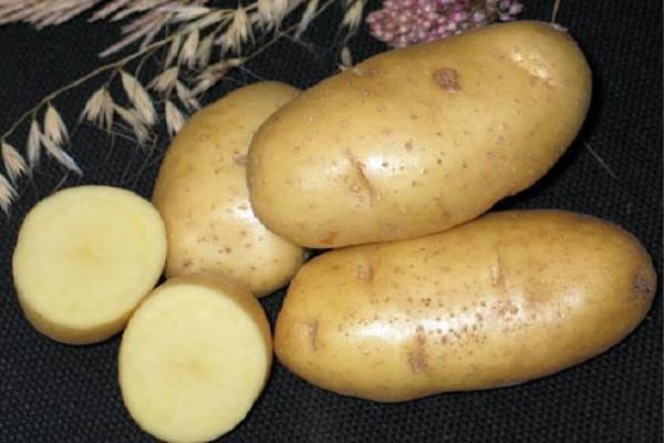 bramborový čaroděj