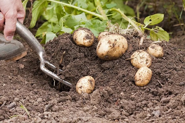 Cumplimiento de la tecnología agrícola.