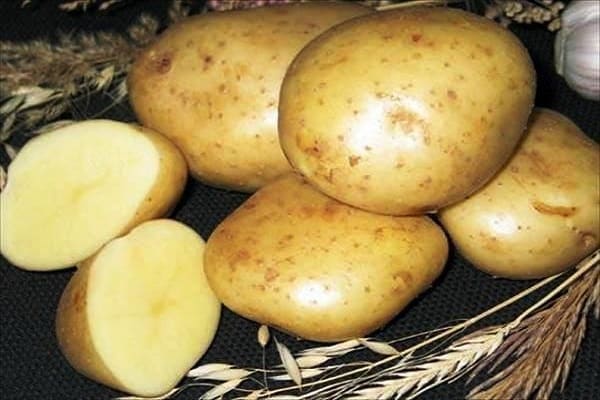 žluté brambory