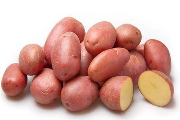 Variedad de patata Labela