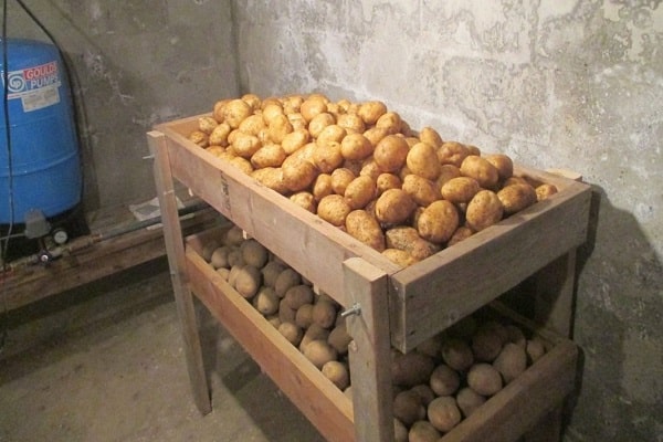 vlastní brambory