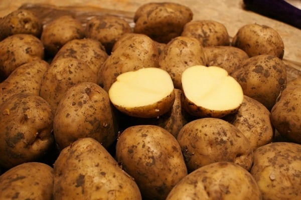 Riviérské brambory