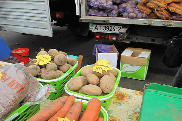 déterrer des tubercules