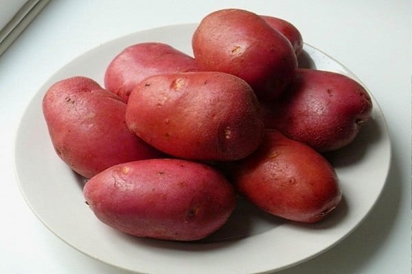 Roccovy brambory
