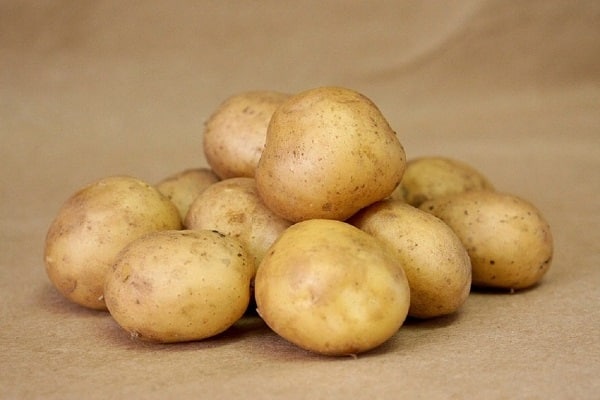 potatis vektor