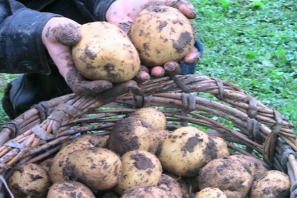 земља је сиромашна