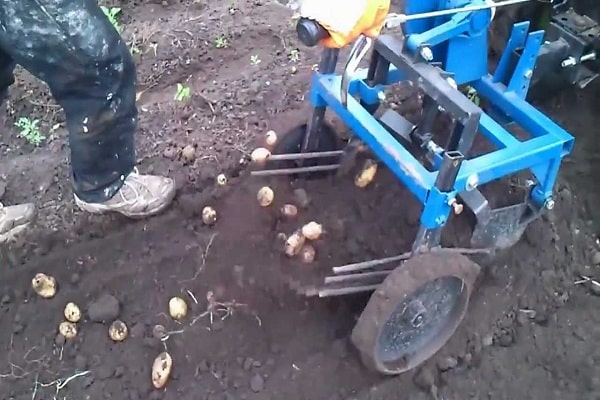 potato digger for walk-behind tractor