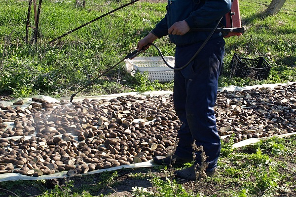 rozwiązanie samodzielnie