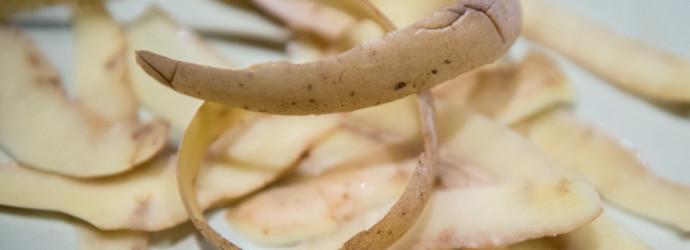 épluchures de pommes de terre comme engrais