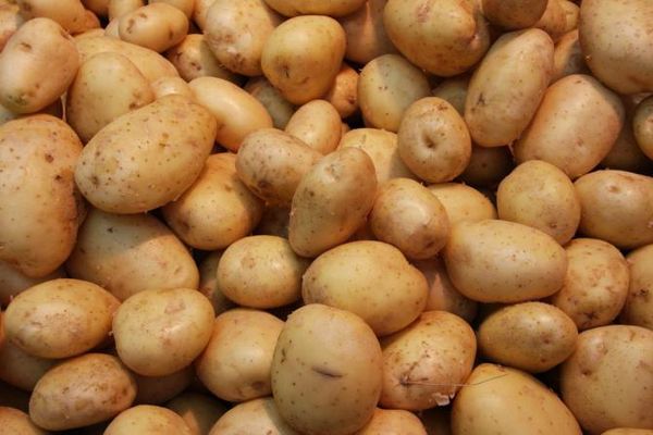 hodně brambor