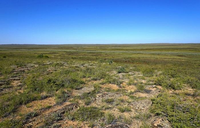 steppe på bildet