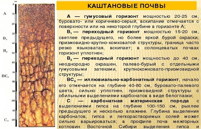 soil classification