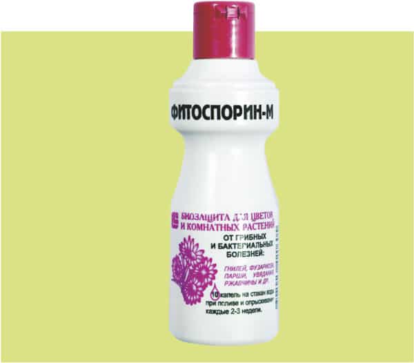 fytosporin pro hrozny