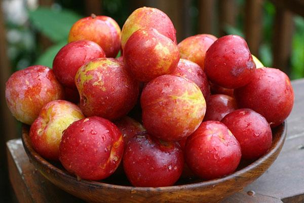 plum in a bowl 