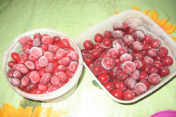 preparación de frutas 