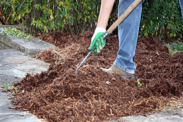 mulch for soil 