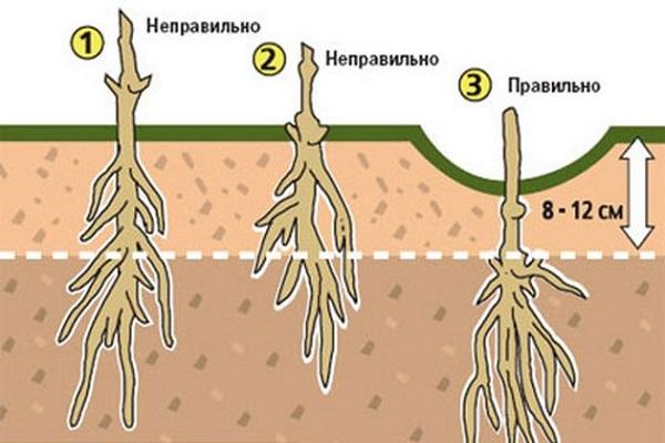 карактеристике слетања