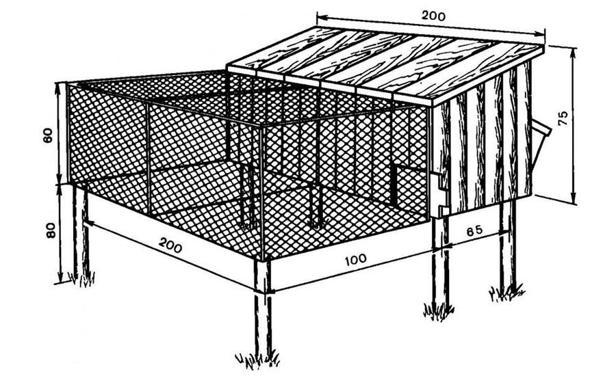 cell 5