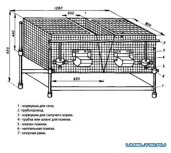 cella diagram