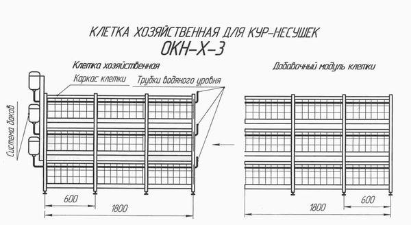 дизајн ћелије