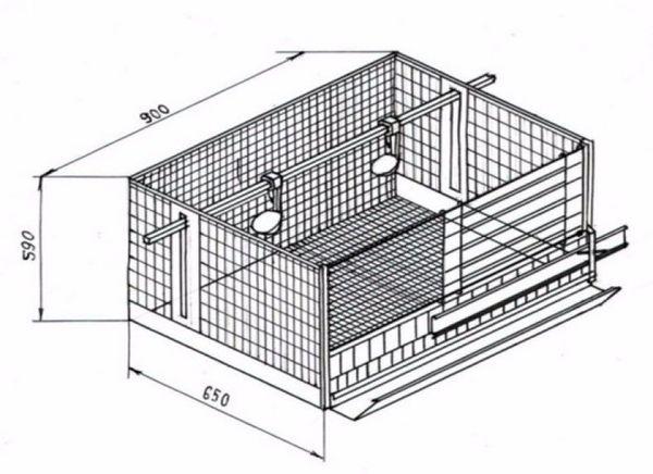 Dimensions de la gàbia