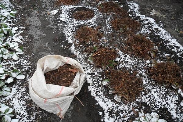 mulch voor de winter 