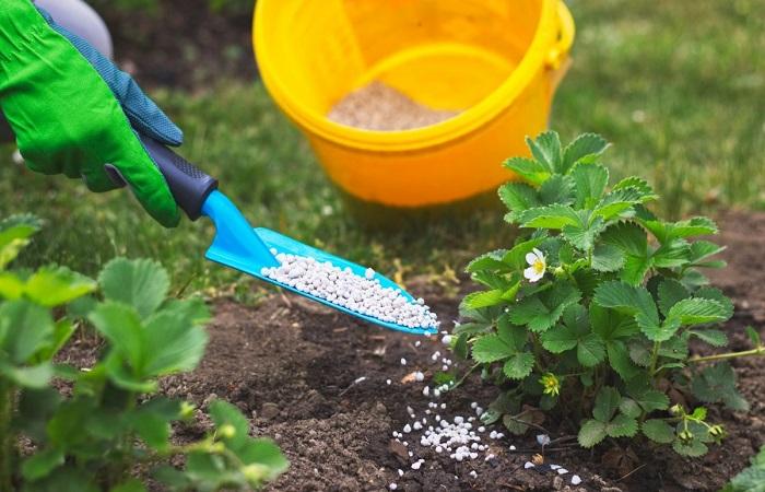 mini relais pour plante 