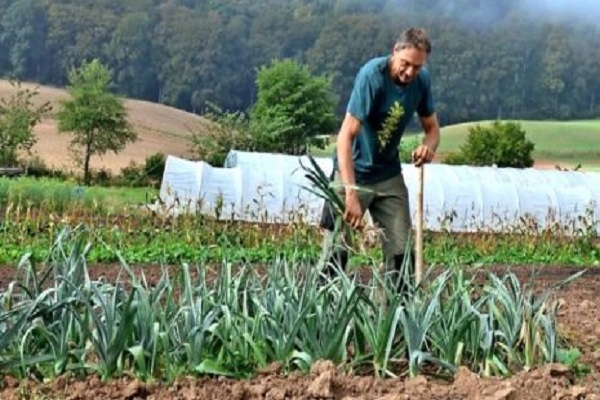 düzgün kazmak