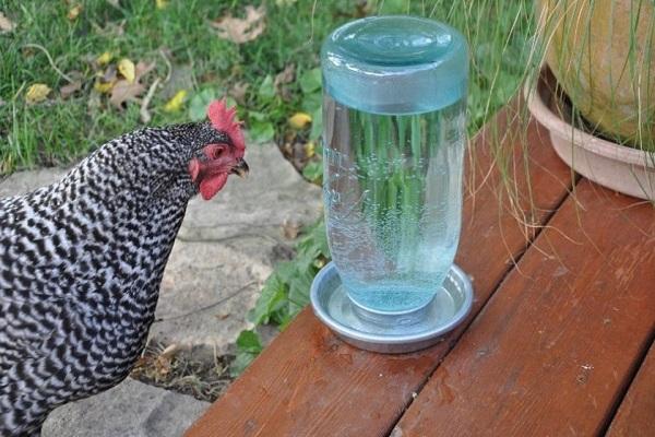 watering can with jar 