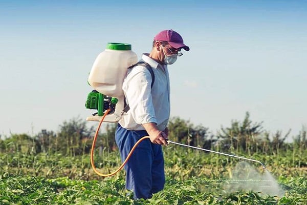 gießt in eine Sprühflasche